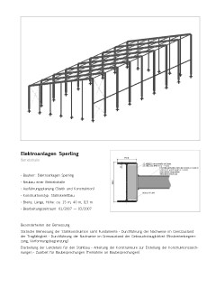 Präsentationsblatt: Sperling