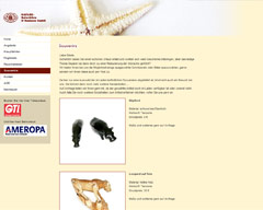 Screenshot von Website: Souvenir-Angebote